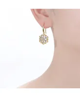 Rhodium and 14K Gold Plated Cubic Zirconia Hook Earrings