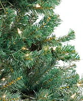 Acacia Pre-lit Christmas Tree with 300 Clear Incandescent or Multicolor Lights, 6'