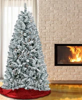 National Tree Company 6' Acacia Flocked Pre-lit Christmas Tree with 300 Clear Incandescent Lights