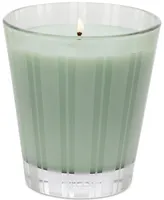 Nest New York Wild Mint & Eucalyptus Classic Candle, 8.1 oz.