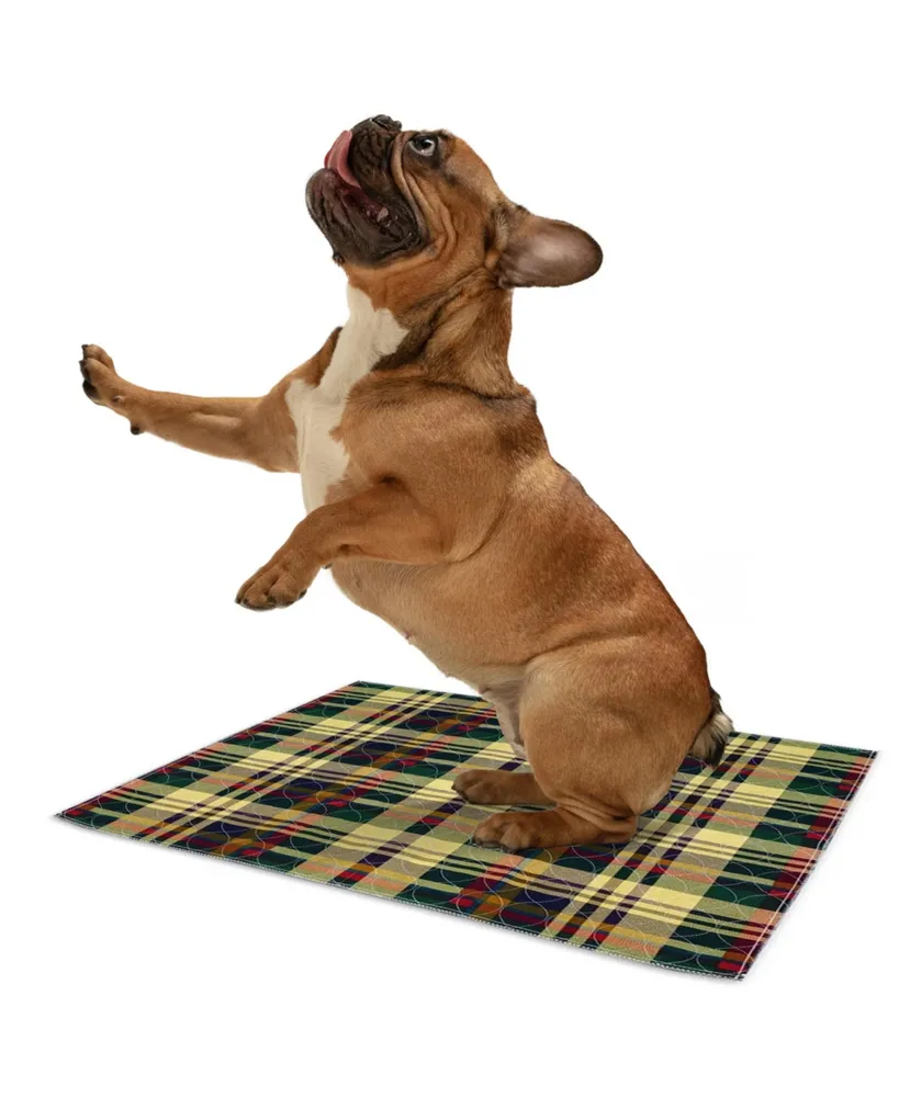 MaxProtect Tartan Plaid Reusable Pee Pads for Dogs, Training Underpads - Pack