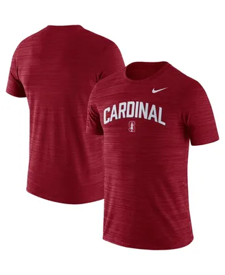 Men's Nike Cardinal Stanford Cardinal 2022 Game Day Sideline Velocity Performance T-shirt