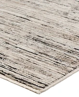 Dalyn Denizi DZ1 7'10" x 10' Area Rug