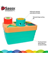 Sassy Sushi Sorter Stem learning toy, 6 Months plus