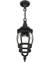 Livex Frontenac 1 Light Outdoor Pendant Lantern