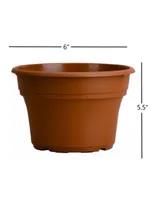 Panterra 6 Inch Pot, Clay Color