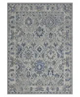 Lr Home Rosy RIDGE82132 7'9" x 9'9" Area Rug