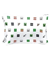 Saturday Park Minecraft Emblematic 100% Organic Cotton Twin Sheet Set