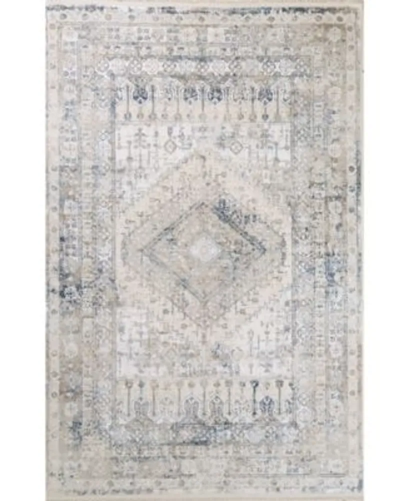 Bb Rugs Hudson Hud305 Area Rug