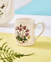 Botanic Garden Assorted Motifs Tankard-Coffee Mugs, Set of 6