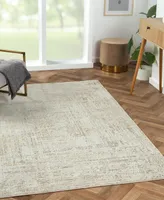 Lr Home Bienne BIENA82284 5' x 7'11" Area Rug