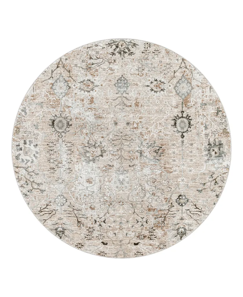 Surya Brunswick Bwk- 7'10" x 7'10" Round Area Rug