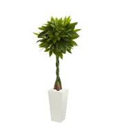 Nearly Natural 5.5' Money Artificial Tree in White Tower Planter - Real Touch