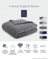 Ella Jayne 12lb Reversible Anti-Anxiety Weighted Blanket (A $129.00 Value)