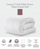 Ella Jayne Luxury 2" Loft Down Plush Feather Bed