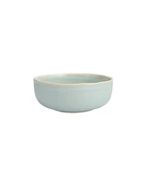 Fortessa Cloud Terre No. 3 Soup Bowls, Set of 4