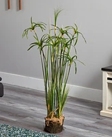 Nearly Natural 48" Papyrus Plant & Soil Artificial Arrangement