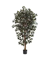 Nearly Natural 6' Artificial Capensia Ficus Tree