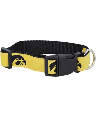 Iowa Hawkeyes 1" Regular Dog Collar