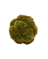 Nearly Natural 4-In. Sedum Artificial Succulent Artificial Spheres, Set of 6