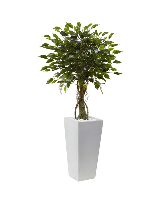 5' Ficus Artificial Topiary Tree; UV Resistant (Indoor/Outdoor), Color:  Green - JCPenney