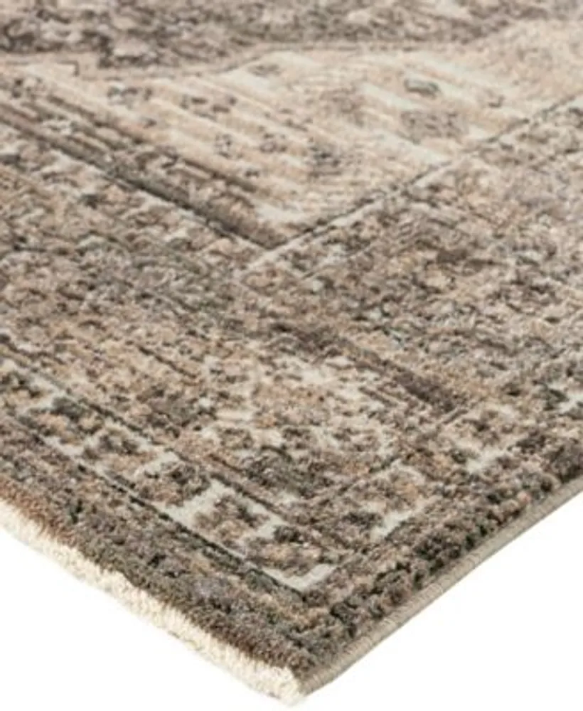 D Style Sergey Sgy2 Area Rug