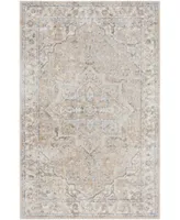 Nourison Home Astra Machine Washable Asw12 Area Rug