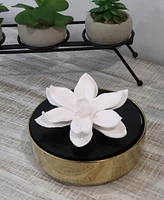 Vivience Hemispheric Shape Diffuser Lid or Flower, 'Irish And Rose' Aroma