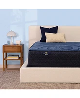 Serta Perfect Sleeper Euphoric Nights 14" Firm Hybrid Mattress Set