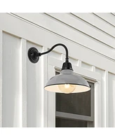 Aurora 12.25" 1-Light Farmhouse Industrial Indoor, Outdoor Iron Led Gooseneck Arm Sconce