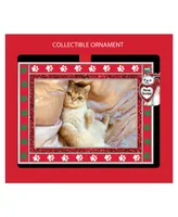 Frame Ornament Cat 'Meowy Christmas'