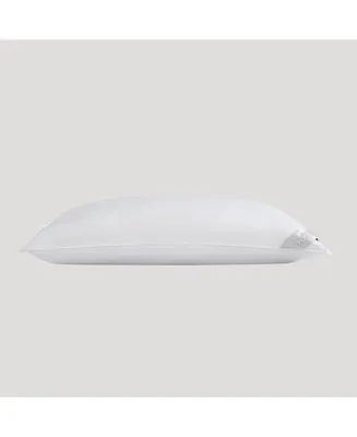 Down Pillow Insert King Size