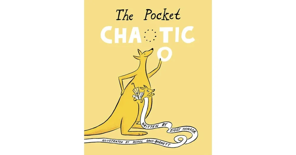 The Pocket Chaotic by Ziggy Hanaor