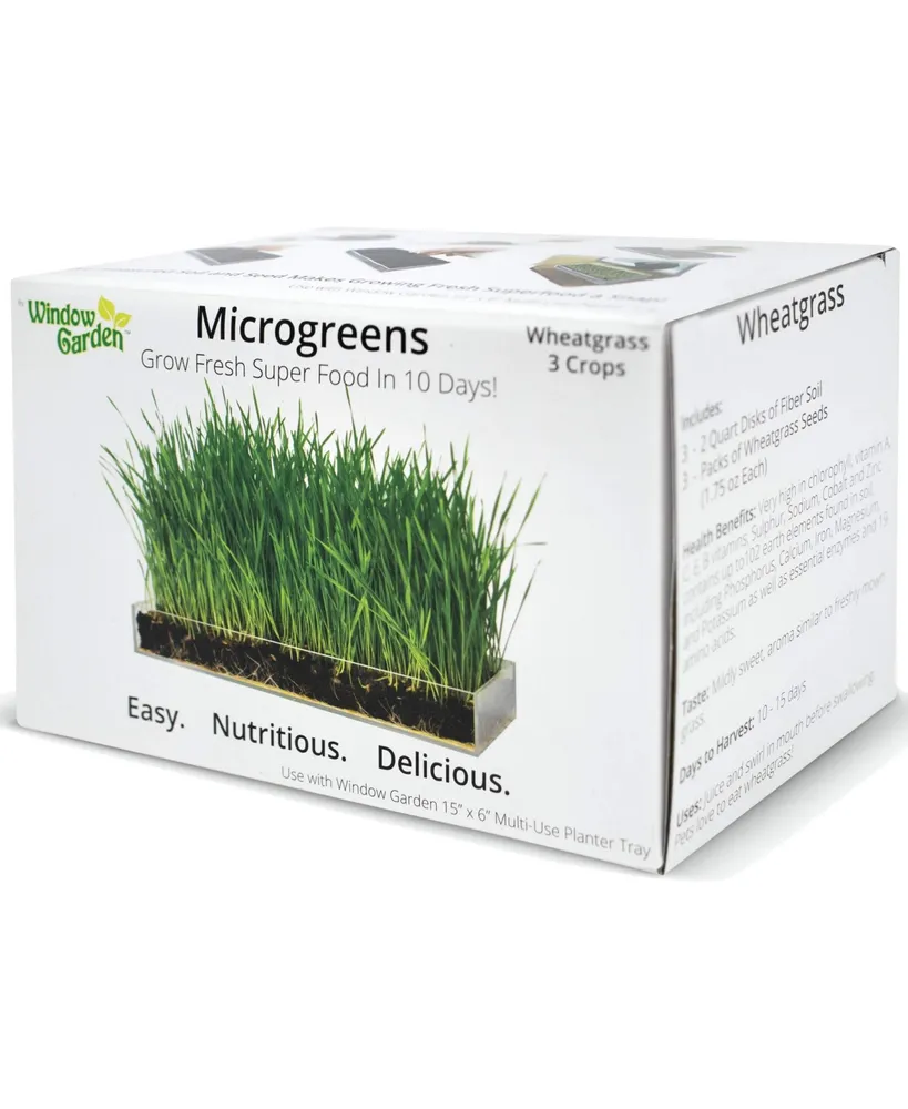 Window Garden Microgreens Growing Kit - Includes Microgreen Seeds, Organic Pea Shoot (3 Pack Refill) - Indoor Microgreen Grow Starter Kit