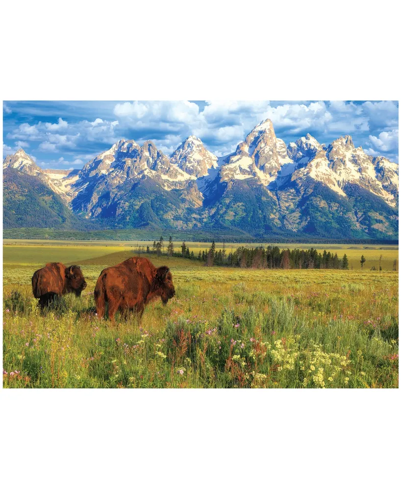 Eurographics Incorporated Steve Hinch Grand Teton National Park, Wyoming, Usa Jigsaw Puzzle, 1000 Pieces