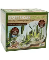 Unique Gardener Double Sphere Glass Terrarium Desert Escape Growarium Plant Kit