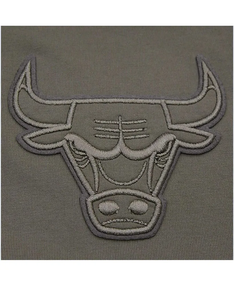 Men's Pro Standard Gray Chicago Bulls Neutrals Short Sleeve Pullover Hoodie