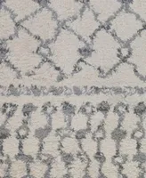 Amer Rugs Asp1 Area Rug