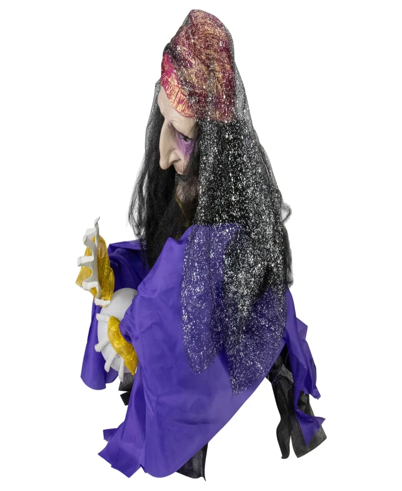 20" Lighted and Animated Fortune Teller Halloween Decoration