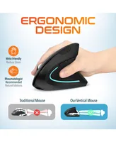 Delton Ergonomic 12 Wireless Rechargeable Mouse