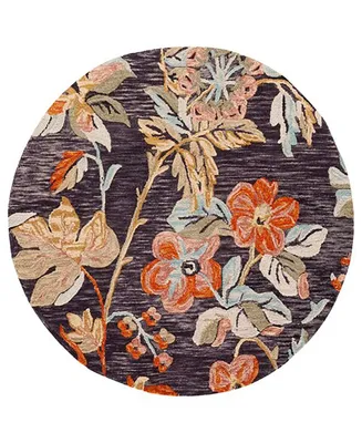 Safavieh Aurora APN133 5' x 5' Round Area Rug