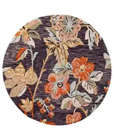 Safavieh Aurora APN133 5' x 5' Round Area Rug