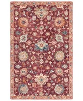 Safavieh Aurora Apn144 Area Rug