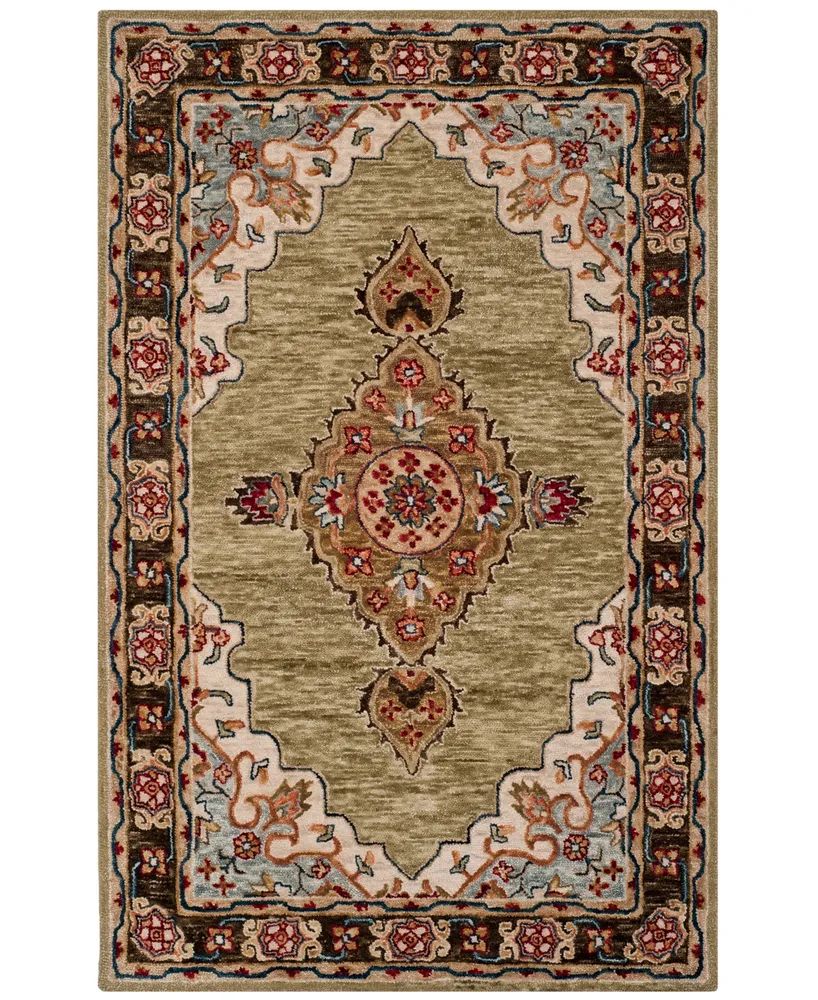 Safavieh Aurora APN506 5' x 8' Area Rug