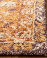 Safavieh Aurora Apn127 Area Rug