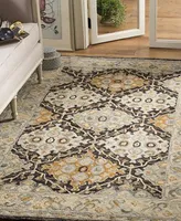 Safavieh Aurora APN304 5' x 5' Square Area Rug