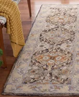 Safavieh Aurora Apn304 Area Rug