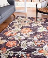 Safavieh Aurora APN133 6' x 9' Area Rug