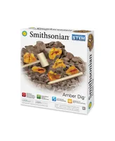 Nsi Smithsonian Amber Dig Science Kit