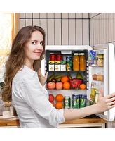 2.4 Cu.Ft. Compact Refrigerator Reversible Door Auto Defrost Mini Fridge